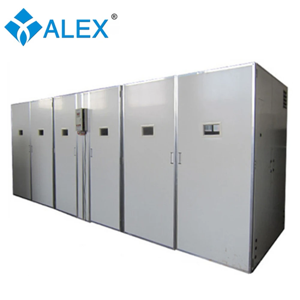 50000 Chicken Farm Equipment Fully Automatic Egg Incubator for Hatching Eggs