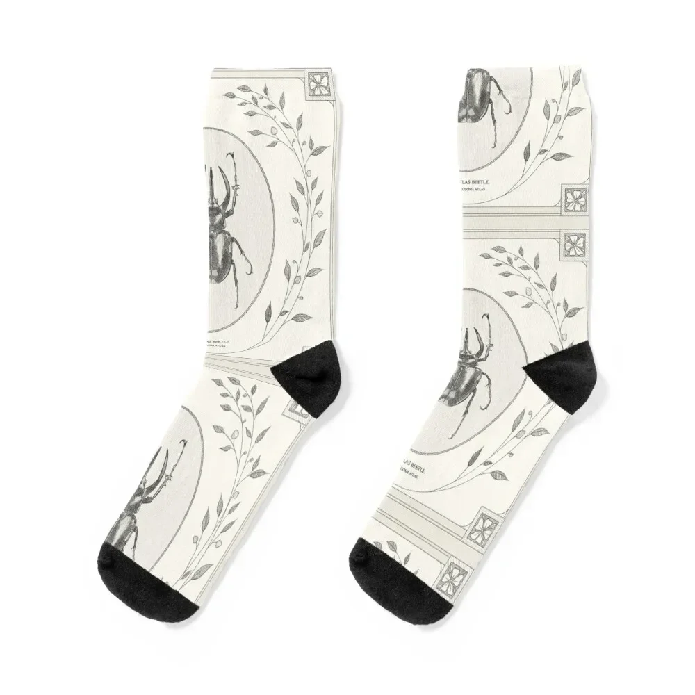 

The Atlas Beetle Socks winter gifts loose Boy Socks Women's