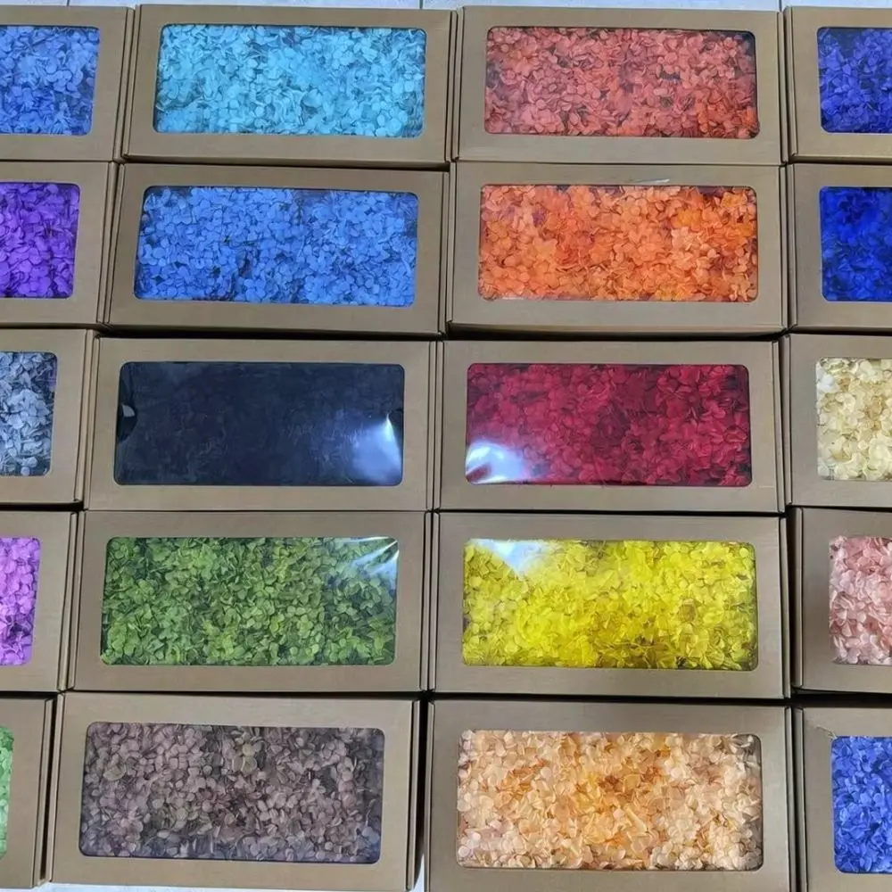 Decorative Preserved Hydrangea Petals For DIY Art Scrapbook Wedding Party Arrangement Dried Floral Ornament Bulk