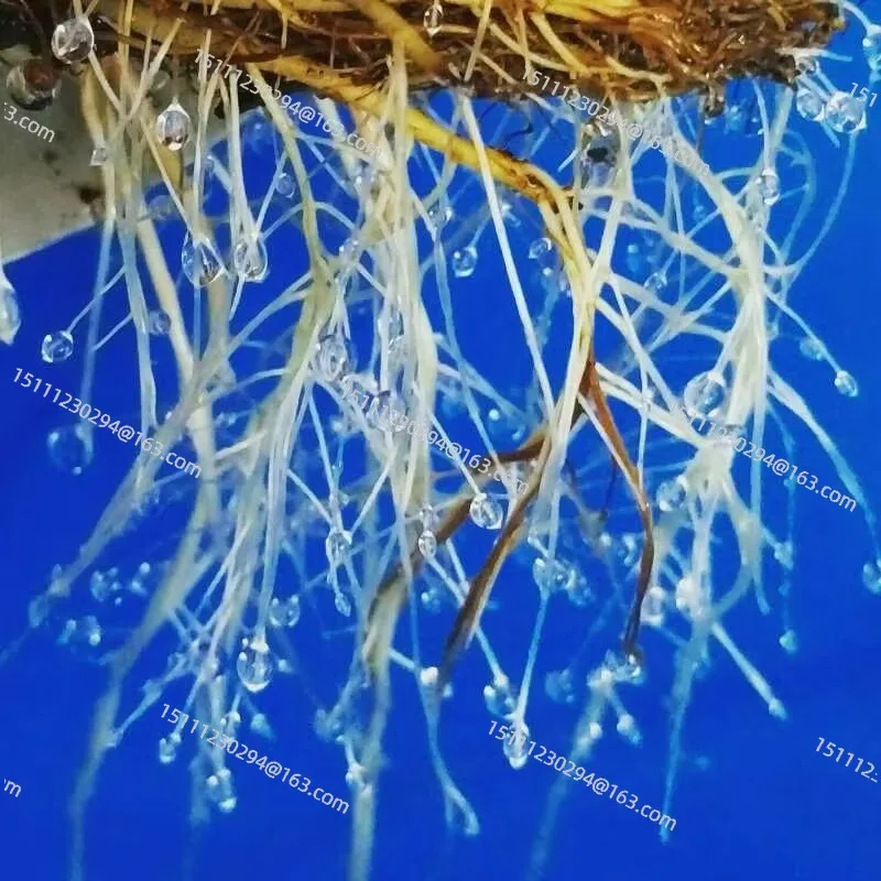 8-Hole 5L Drum Atom… - image