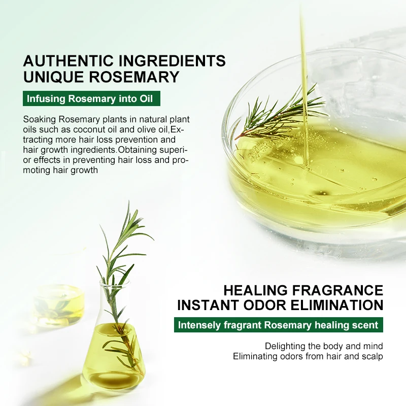 PURC Rosemary Oil for Hair Growth Products Hair Loss Treatment Ginger Fast Hair Growing Hair Care