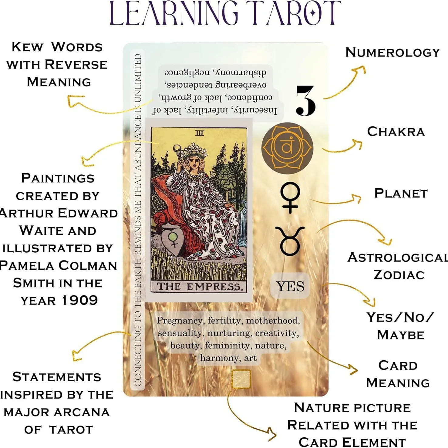 بطاقات التارو للتدريب على كوكبة مع معنى للمبتدئين، 78 قطعة من بطاقات أوراكل الروحية، "عزيزي المستقبل، أنا جاهز"