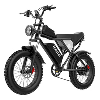 Ridstar Q20 Pro Ebike, Dual Motor 2000W, Two Batteries 40AH, Top Speed 60KM/H, Max Mileage 120KM PAS mode, 20*4.0 Fat Bicycle