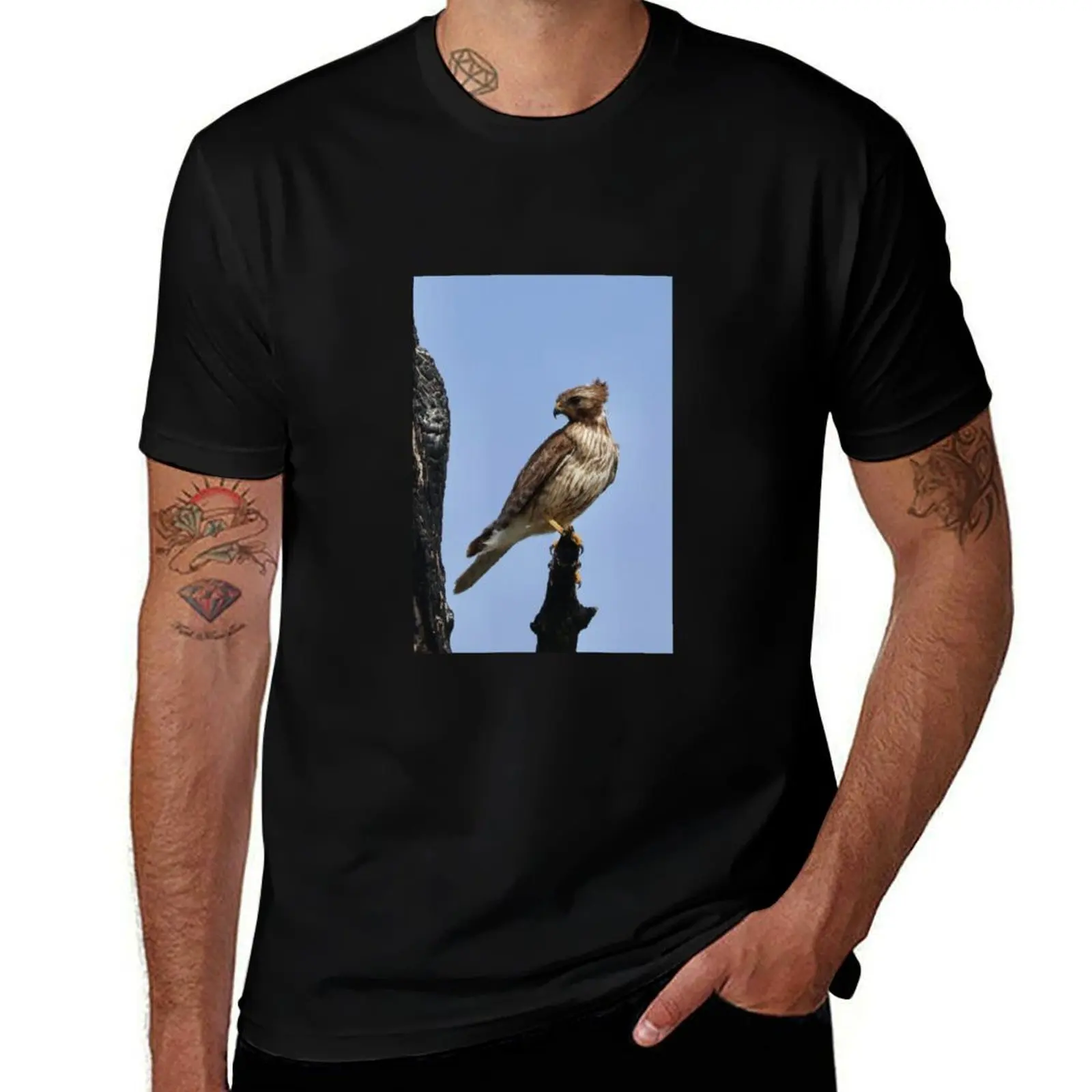 

Red-shouldered Hawk Having a Good Hairday T-Shirt football t shirt anime tshirt blue archive Men's t-shirts
