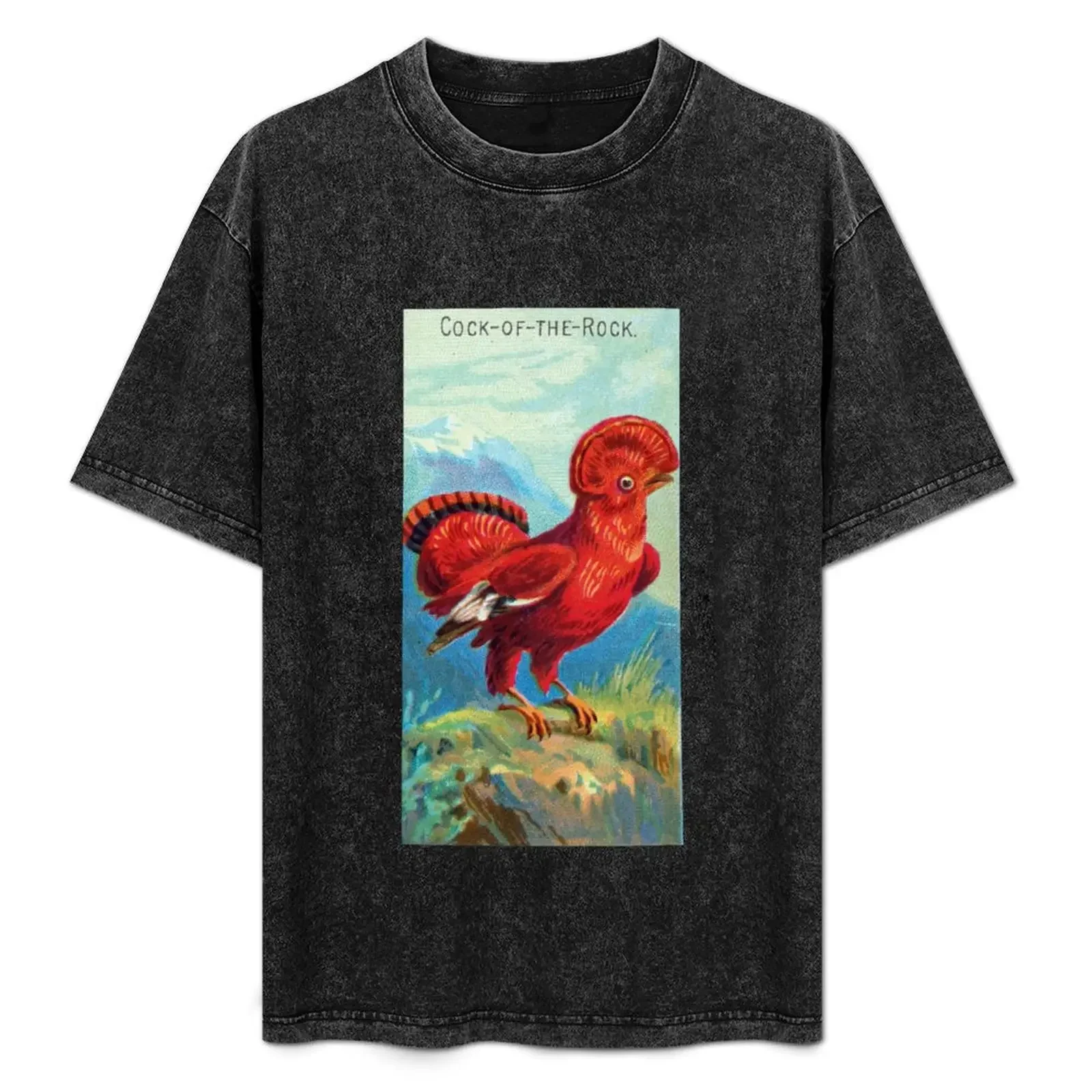 

Футболка «Петух-Рок», эстетичная одежда, футболка с короткими рукавами, футболка большого размера, милые топы, футболки для мужчин, хлопок