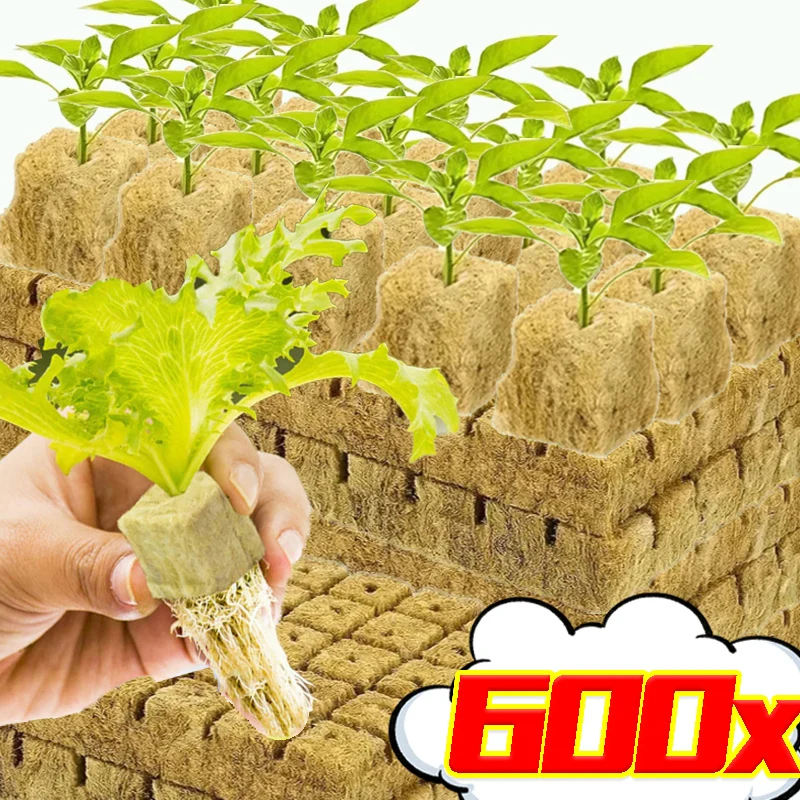 Steenwol Hydrocultuur Grow Media Cubes Stekken Tuinplanten Voortplanting Grondloos Substraat Spong Plug Zaadblok Kwekerij Potten