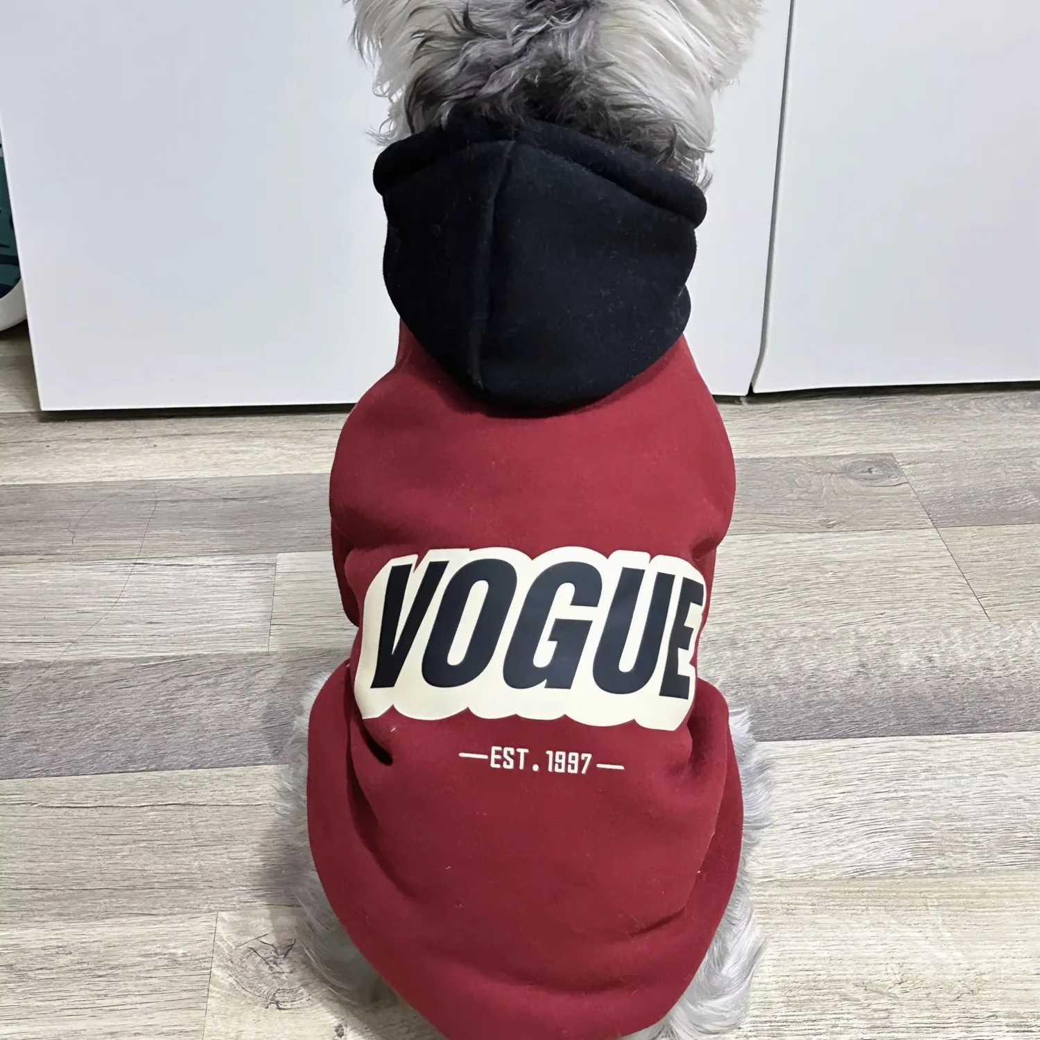 Spring and Autumn Pet Dog Sports Shirt Thin Medium and Small Dog Hoodie Color Block Hoodie Chihuahua French Bulldog Jacket 아지겨울옷