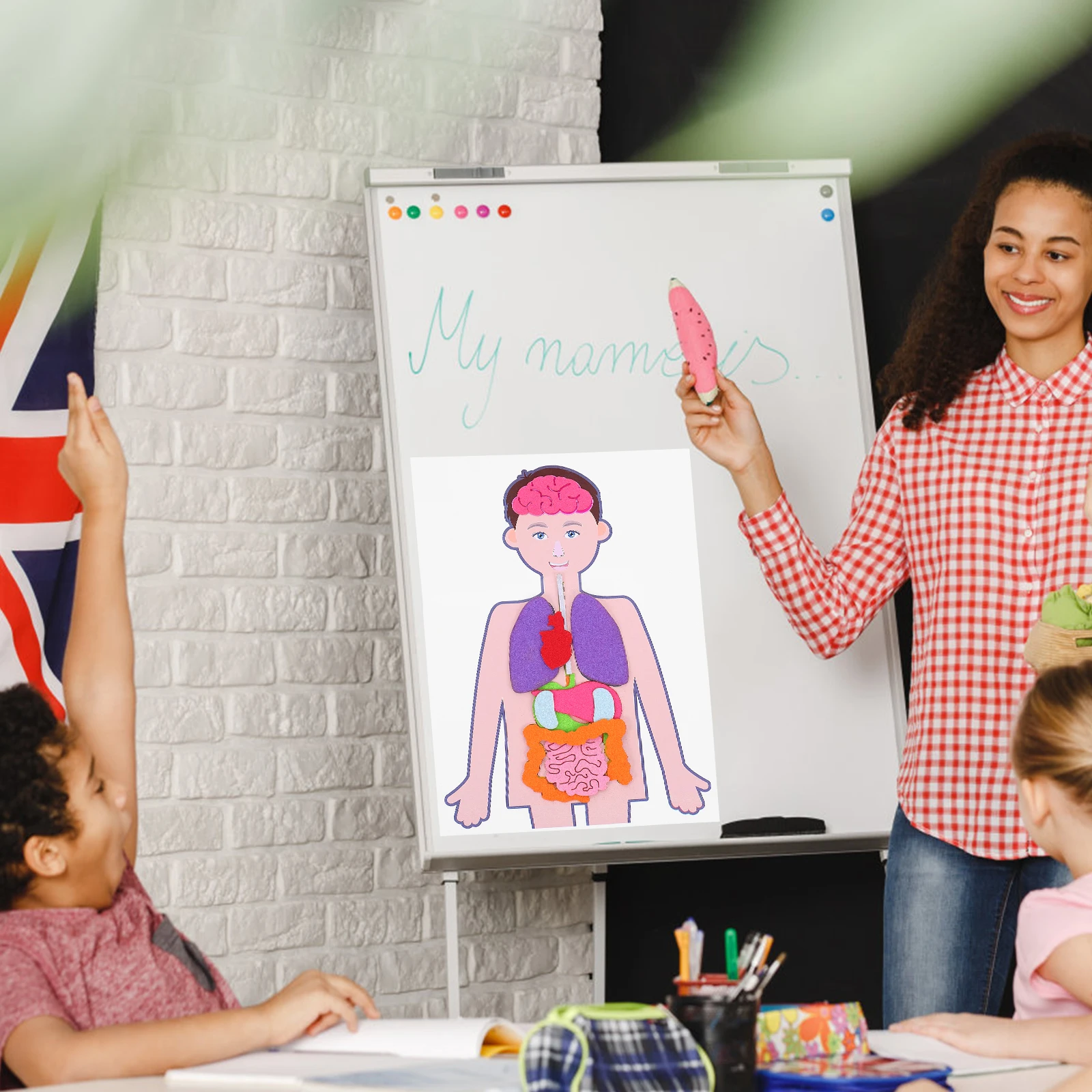 

2 set 2 Sets Creative Organs Playthings Human Teaching Aid Kids Lightweight Diy Organs For Learning Education Building Blocks