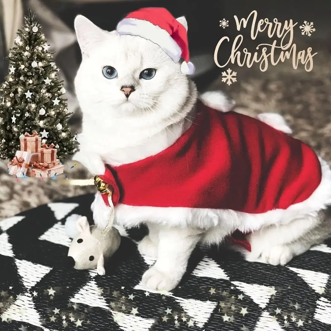 ATUBAN Pet Christmas Costume Cat Santa Outfit Small Dog Xmas Hat with Cloak Set Cat New Year Apparel Cosplay Supplies Head Wear