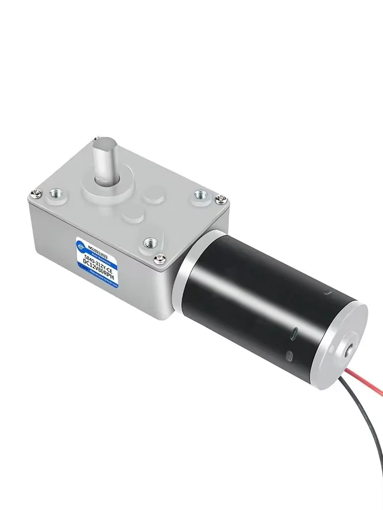 5840 turbo worm micro DC gear motor self-locking speed regulation low speed 31ZY motor 12V24V