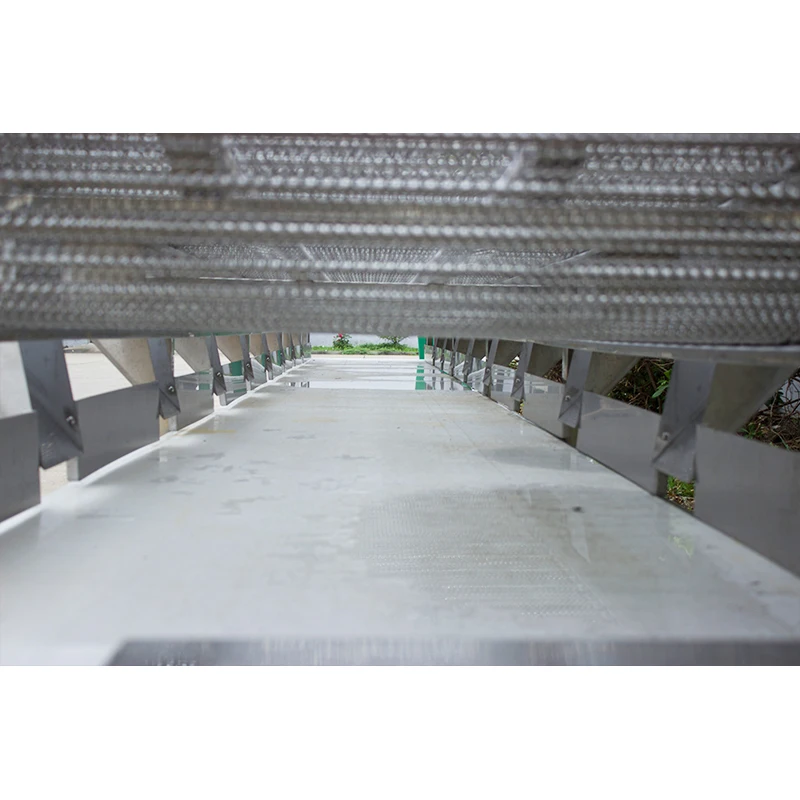 グレーディング仕分け機,フルーツプロセッサー,アボカド,オニオンサイズ