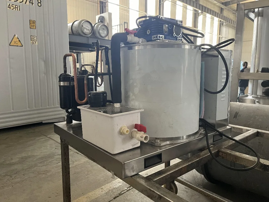 Stainless Steel High Productivity 1 Ton Ice Flake Maker 1000kg for Seafood Processing Custom