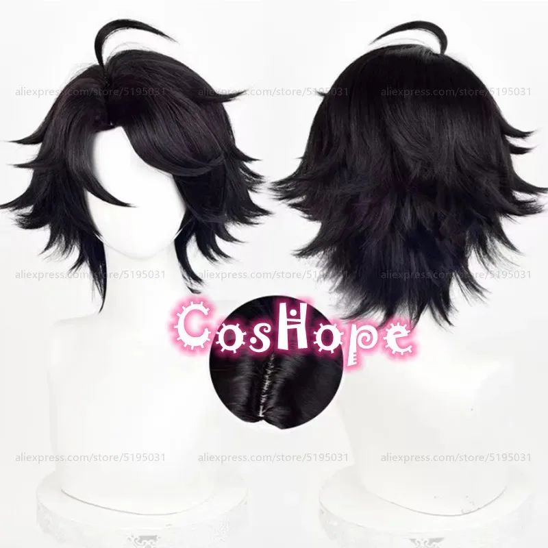 

Prospector Norton Campbell Косплей Парик Fools Gold 30 см Короткий черный парик Косплей Аниме Парик Термостойкие синтетические парики