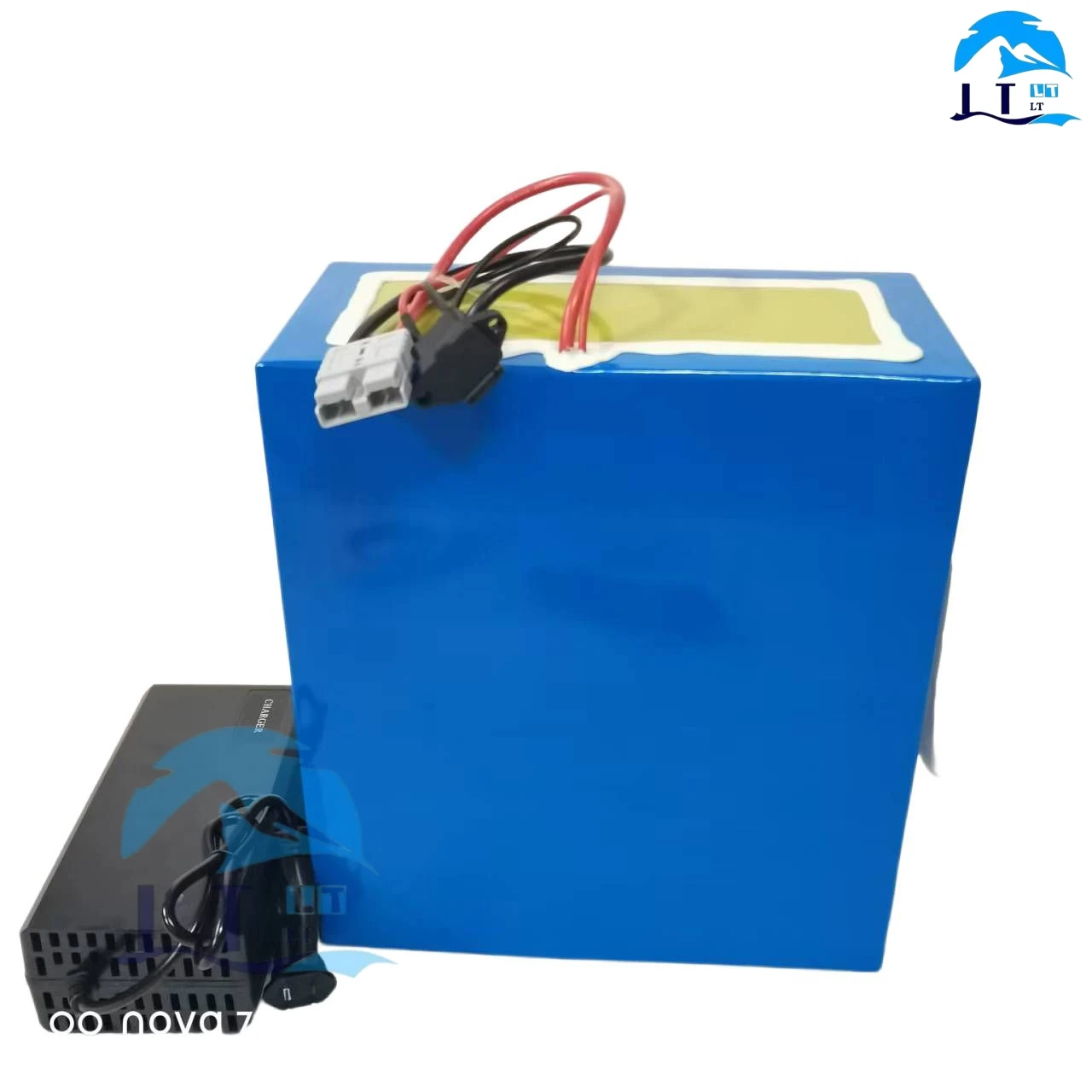 Batterie au lithium Lifepo4, 72V, 40Ah, BMS 24S, pour moto électrique 3000W, 5000W, 6000W, scooter électrique, voiture d'équilib