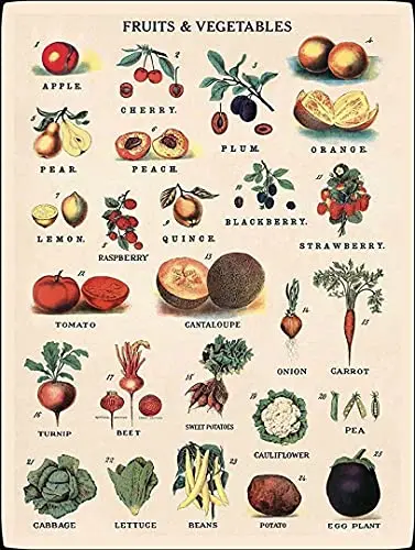 

Fruits and Vegetables Wall Poster Tin Sign Vintage BBQ Restaurant Dinner Room Cafe Shop Decor