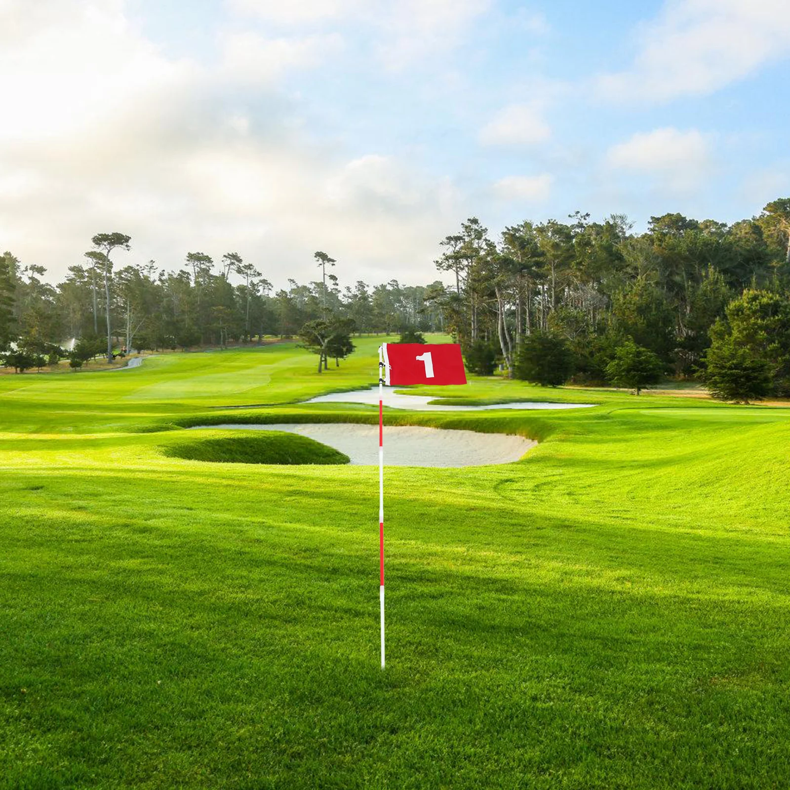 مجموعة عصا الجولف الرائدة مكونة من 3 أقسام سهلة التجميع وعلم متين لوضع ملحقات الممارسة الخضراء نطاق القيادة في الفناء الخلفي