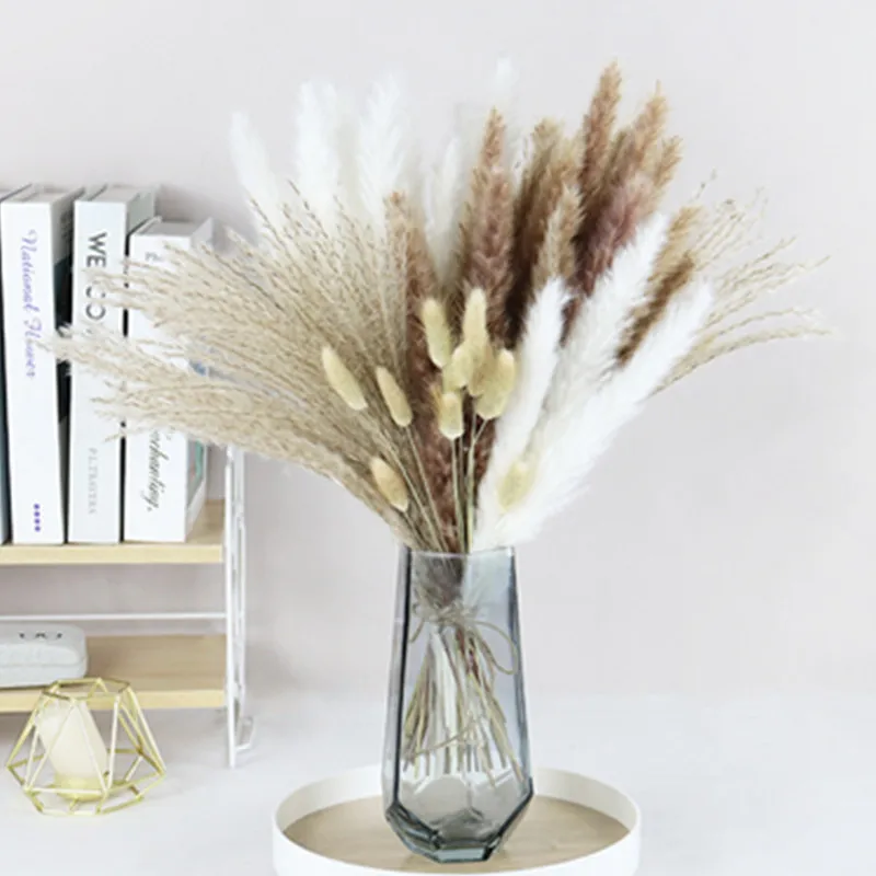 Fleur Sechee Naturelle 80PCS Natural Dried Pampa Grass Bouquet Boho Home Decor  Phragmites Wedding Ramadan Decoration