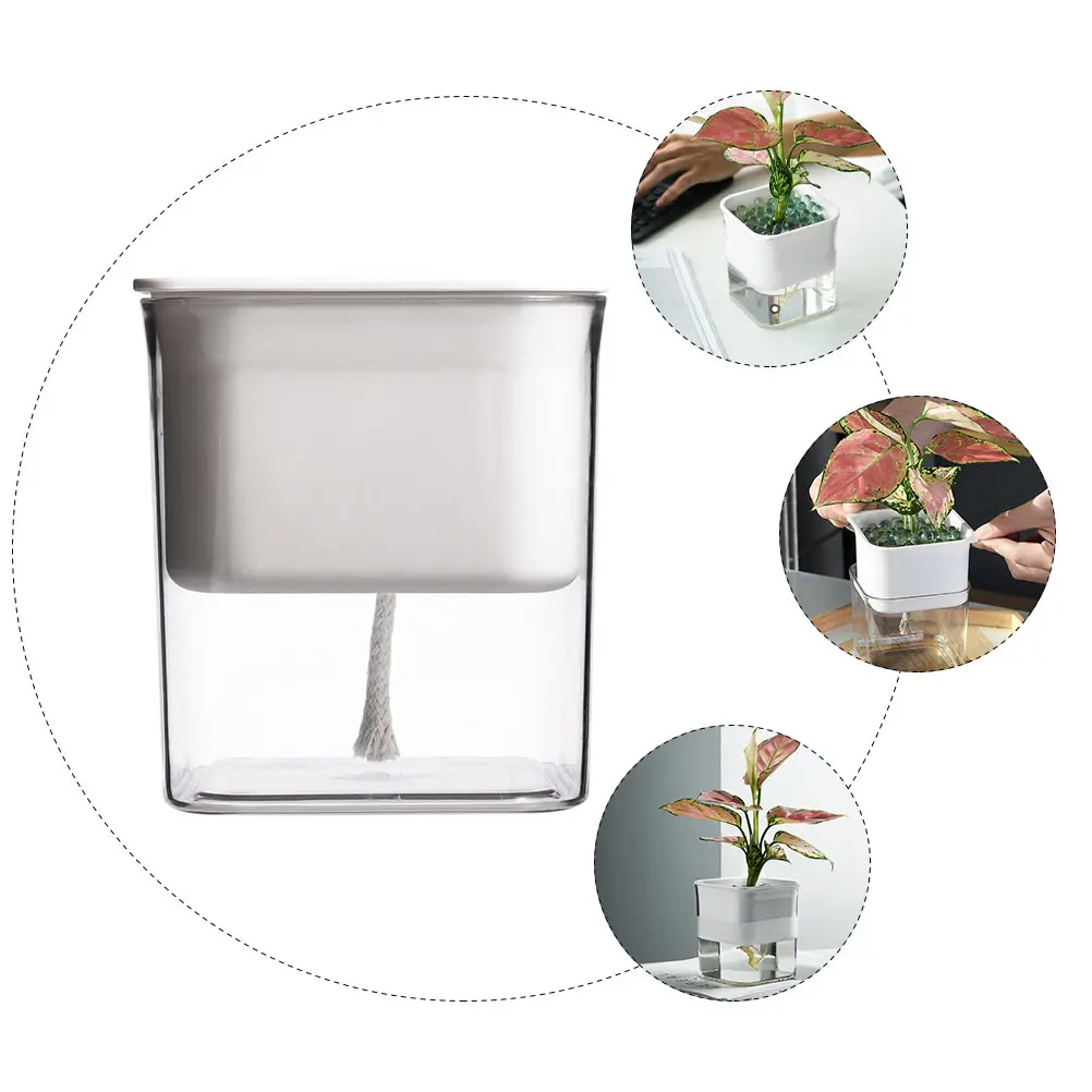 

Self Watering Plant Pot Automatic Hydroponic Container Pp Succulent Garden Flower Planter Transparent Design Wide Application