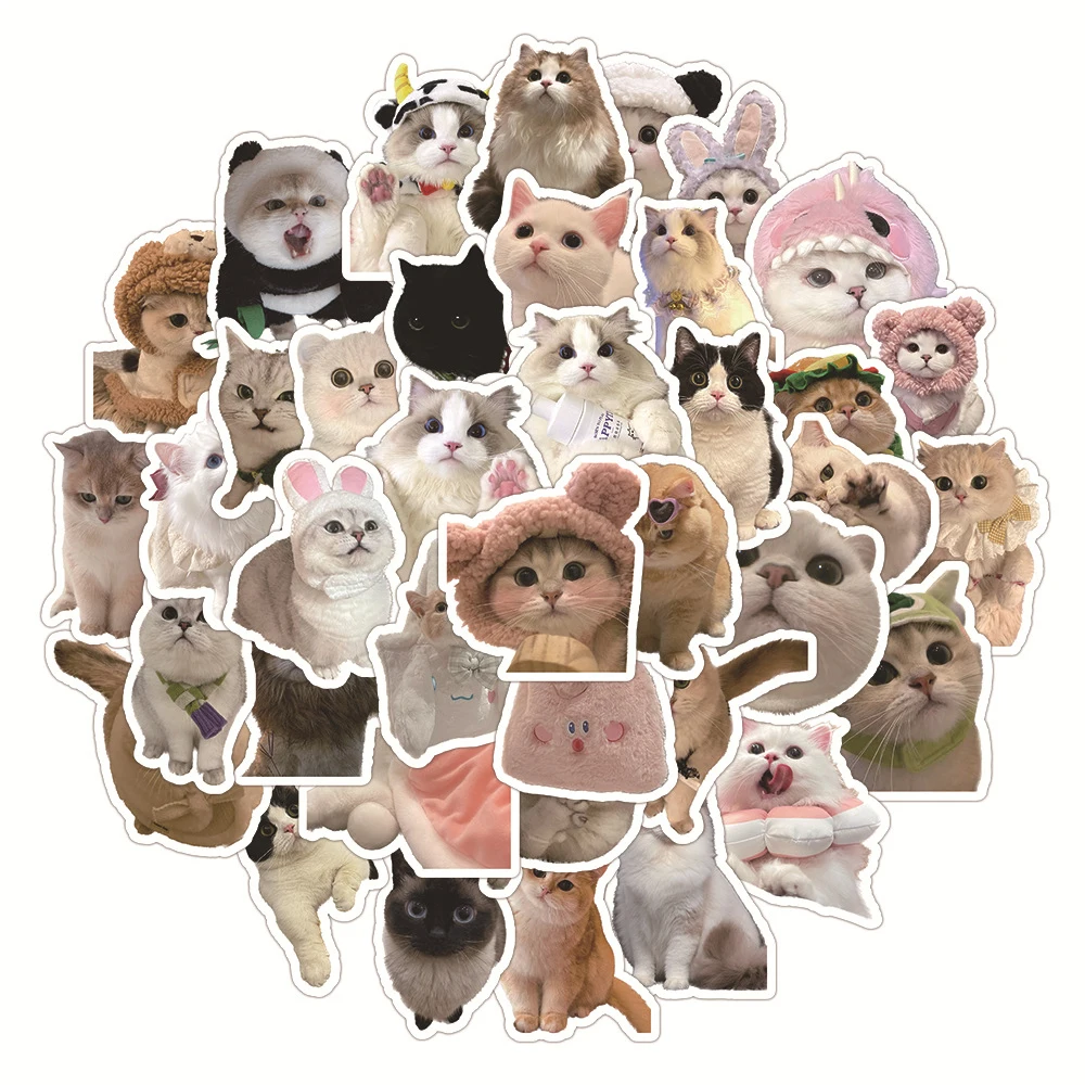 10/30/50pcs Funny Cat Kitty MEME Cartoon Stickers Cute Decals Toys Graffiti Stationery Laptop Car Kid Kawaii Animal Joke Sticker