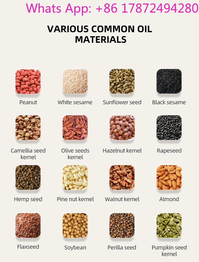 Sesame Seeds Oil Press Machine Automatic Cold Oil Extractor Expeller Presser Peanuts Almonds Wyciskarka Do Oleju Zimno
