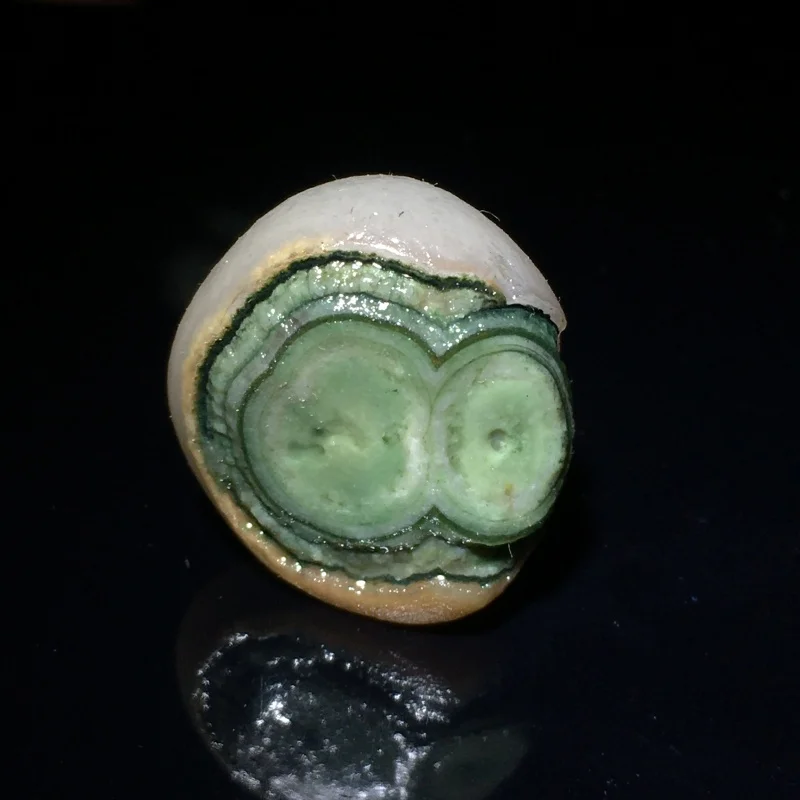 Natural High Quality Alashan Gobi Agate Yin- Gen  Green Eye Stonen Decorations Multi-variety Mineral Specimen Collection