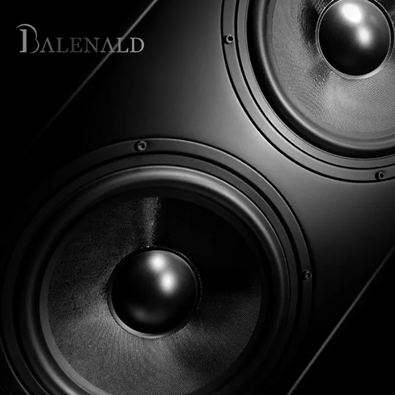 Home Theater Audio Hifi Speaker BN156 Fever Household Dual 8-inch Hifi Floor-standing Speakers Passive Floor-standing Speakers