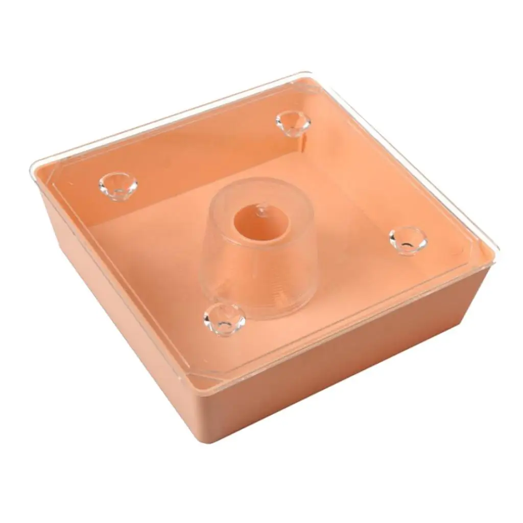 

Plastic Square Beehive Top Feeder Water Feeder Honey Bee Beekeeping Bucket for Hive Build Up and Summer Use