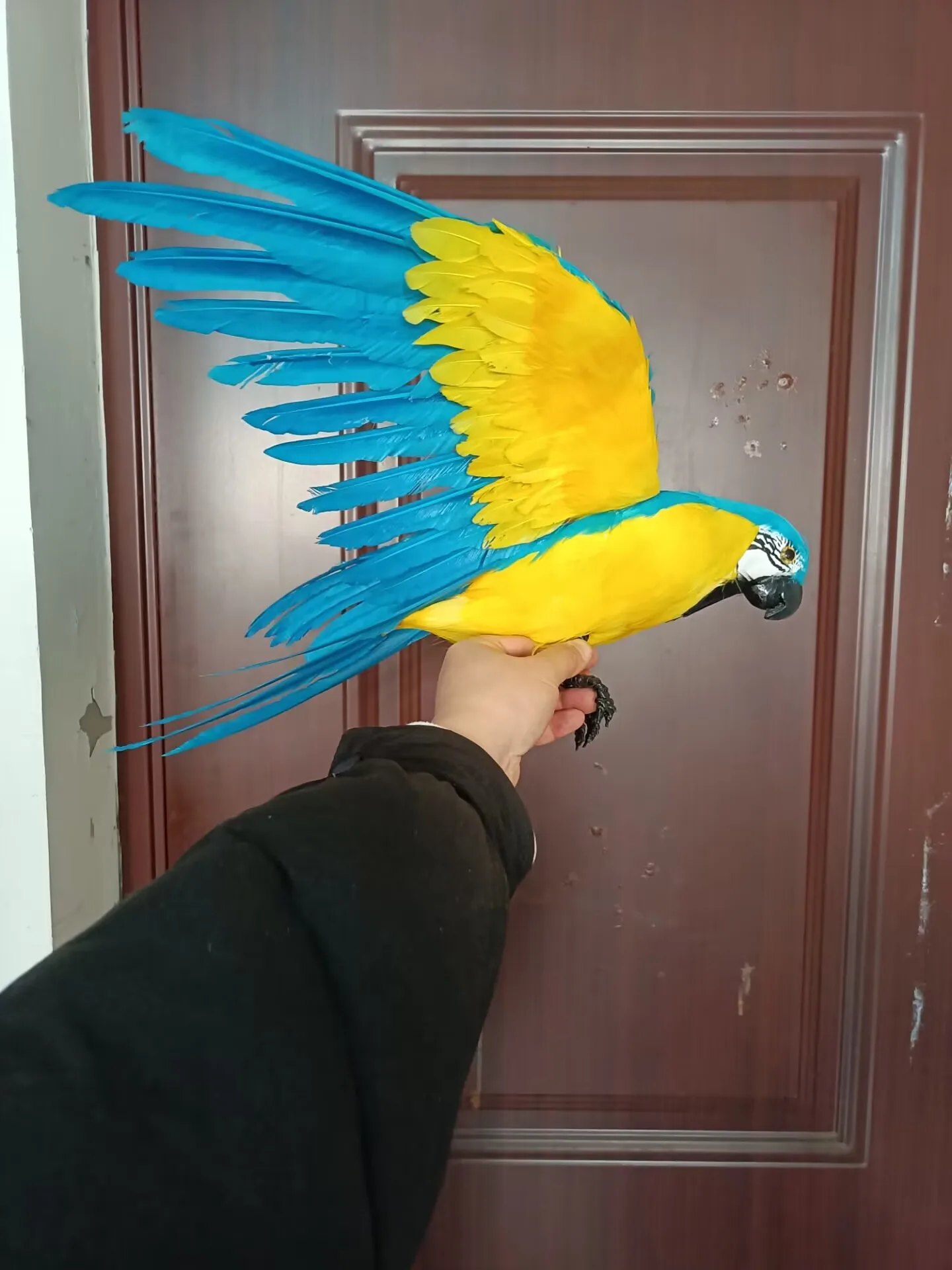 new real life wings parrot model foam&feather simulation blue&yellow parrot bird gift about 40x60cm xf2896