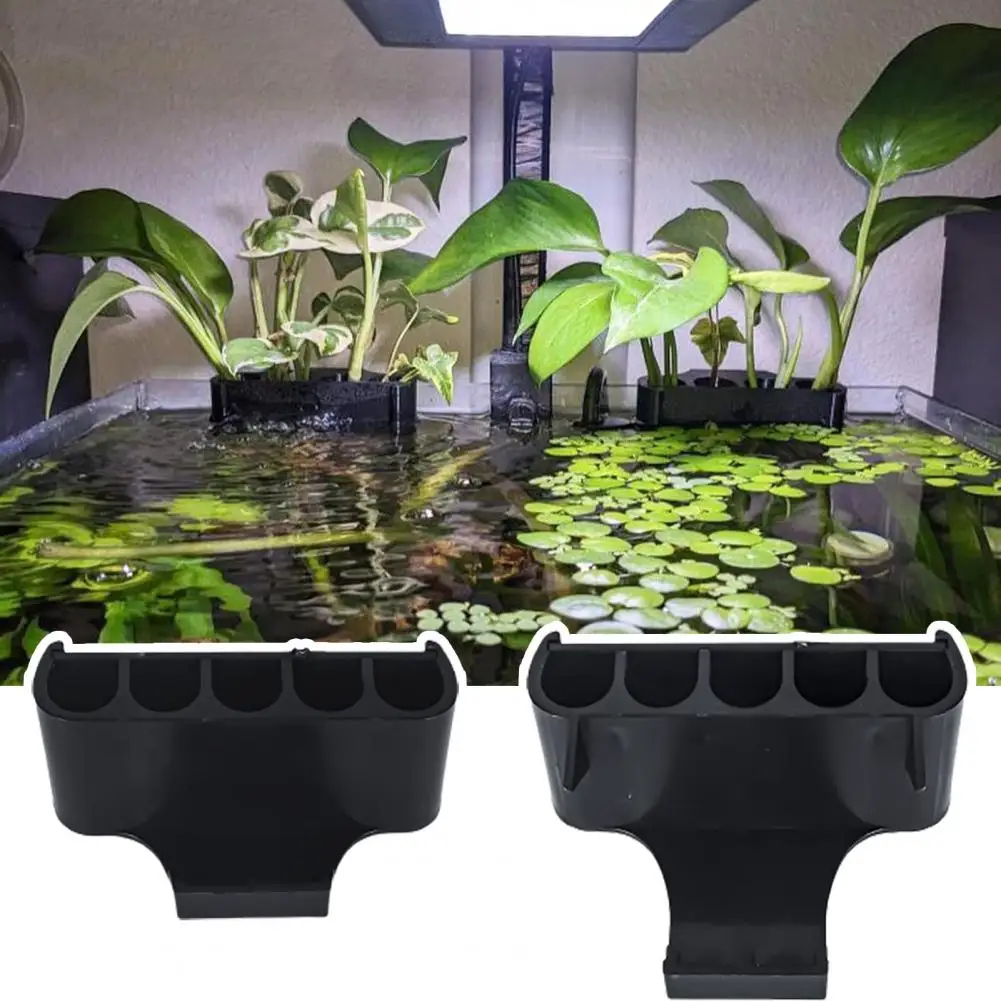 Hydroponic Storage Rack 5 Holes Fish Tank Plant Supports Rack Hanging Aquarium Plant Holder Aquatic Plant Pot with Hole