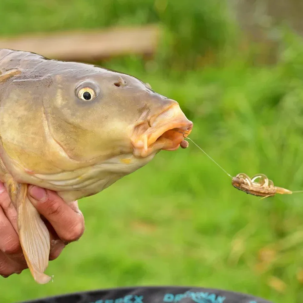 VIKINGAR Inline Method Feeder Formen-Set (5-teilig) – Köderwerfer und Bleiwerkzeug für Karpfenangeln – Präziser Köderfeeder für Karpfenfischen – Detail 6