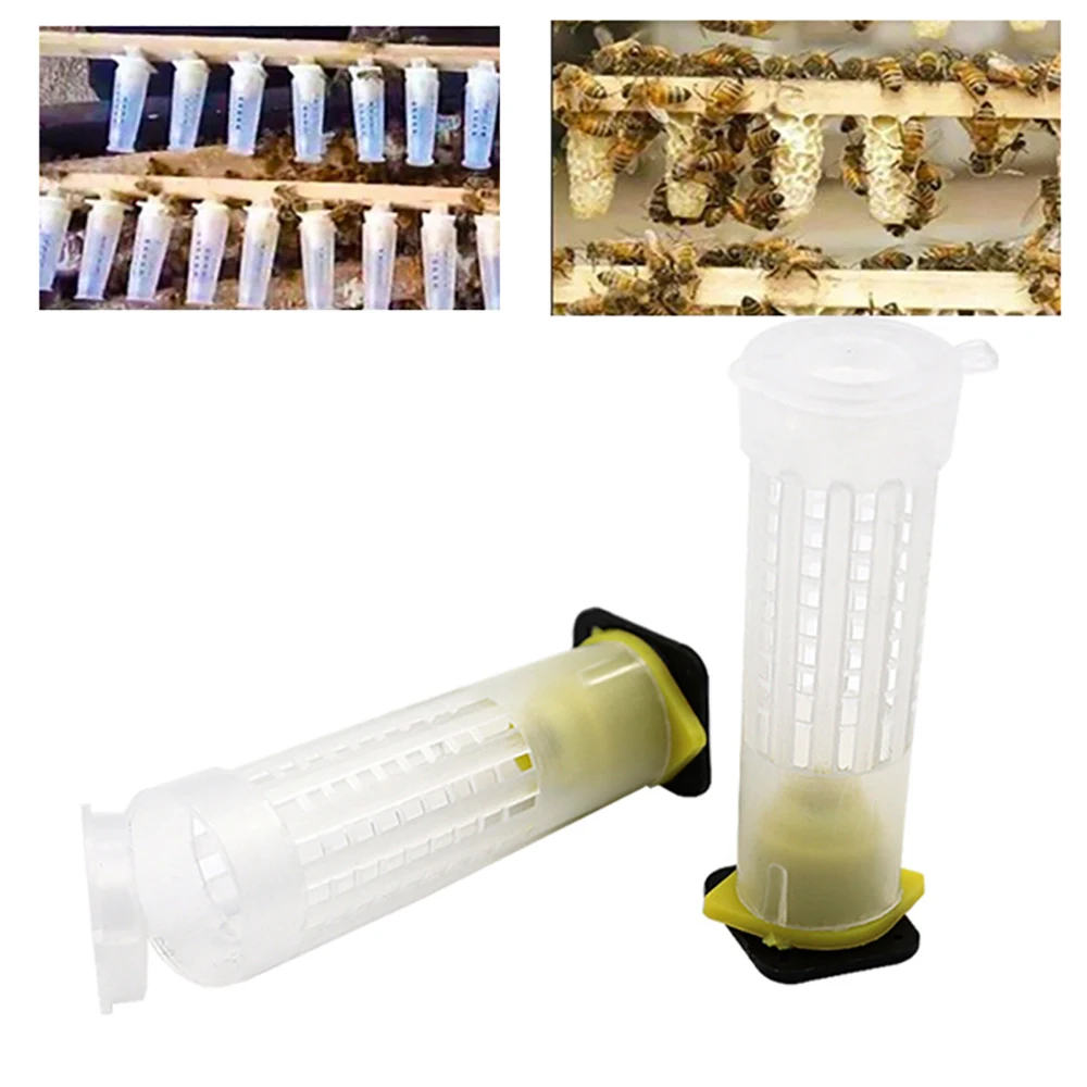 100PCS Queen Rearing Brood Hair Roller Cage Plastic For Egg Sealed Over Cell Gear Base Colony Beekeeping Products Deposit Tools