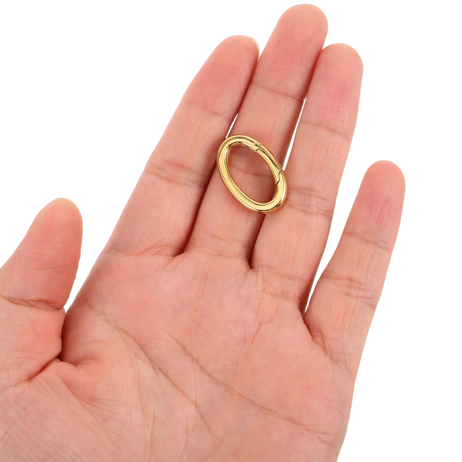 

2Pcs Stainless Steel Oval Clasp Carabiner Spring Buckle for Crafts Keychain Making Supplies Bag Decoration Pendant Attachment