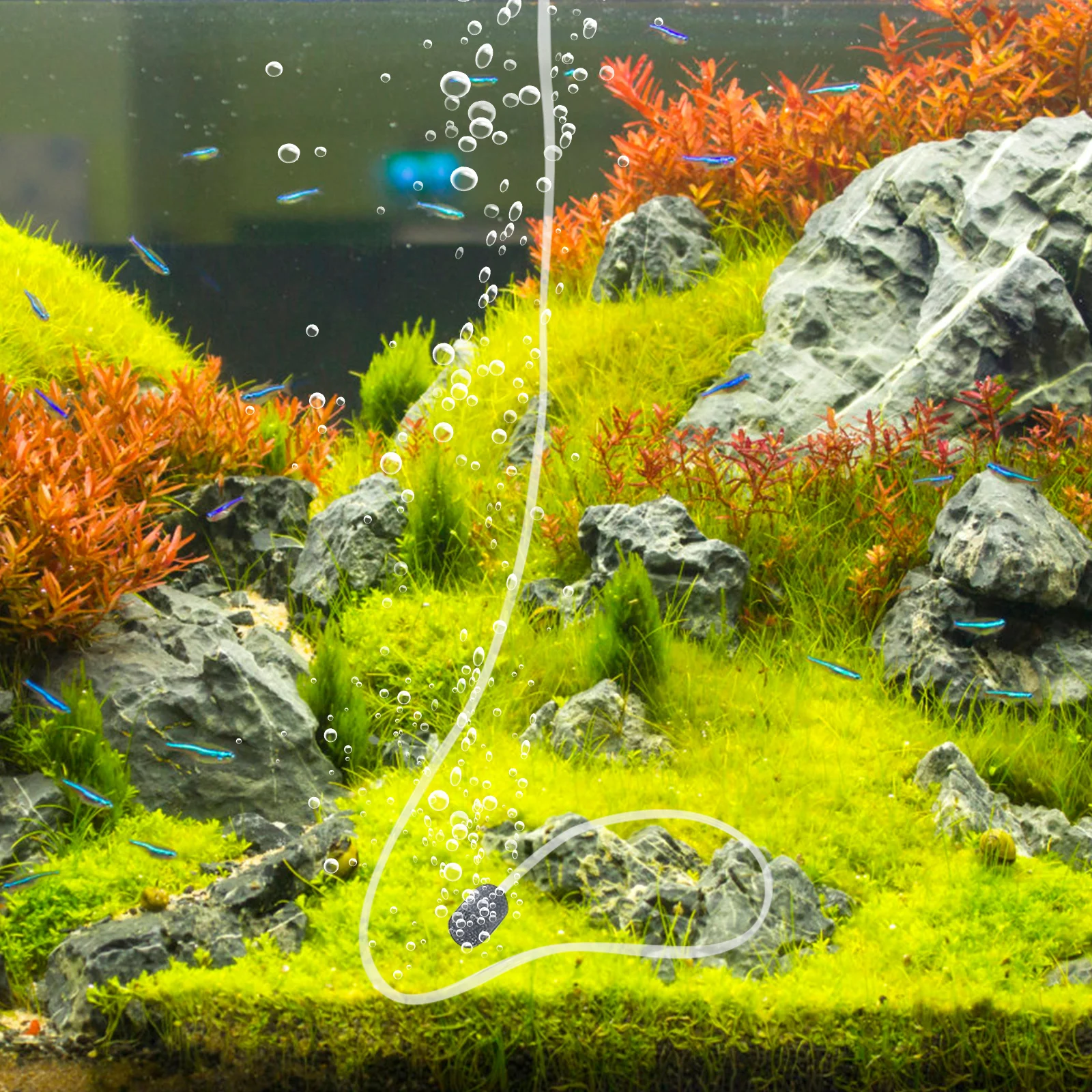

1Set Portable Oxygen Aerator Small USB Charging Aquarium Air Pump Fish Tank Oxygen Supply USB Aquarium Air Pump