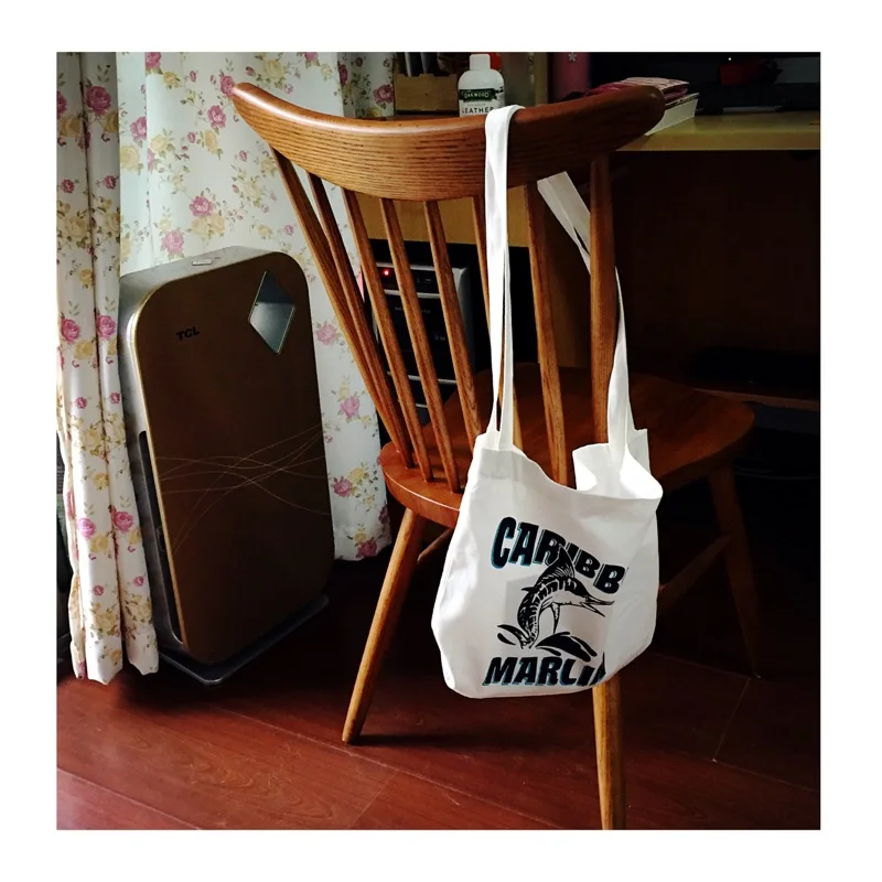 Chaise de Salle à Manger Occidentale avec Dossier, Reproduction Simple et Moderne