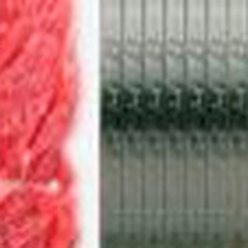 Meat Dicer Cube Cutting Machine Chicken Breast Slicer Meat Shredding Machine Pork Cutter Beef Cutting Machine