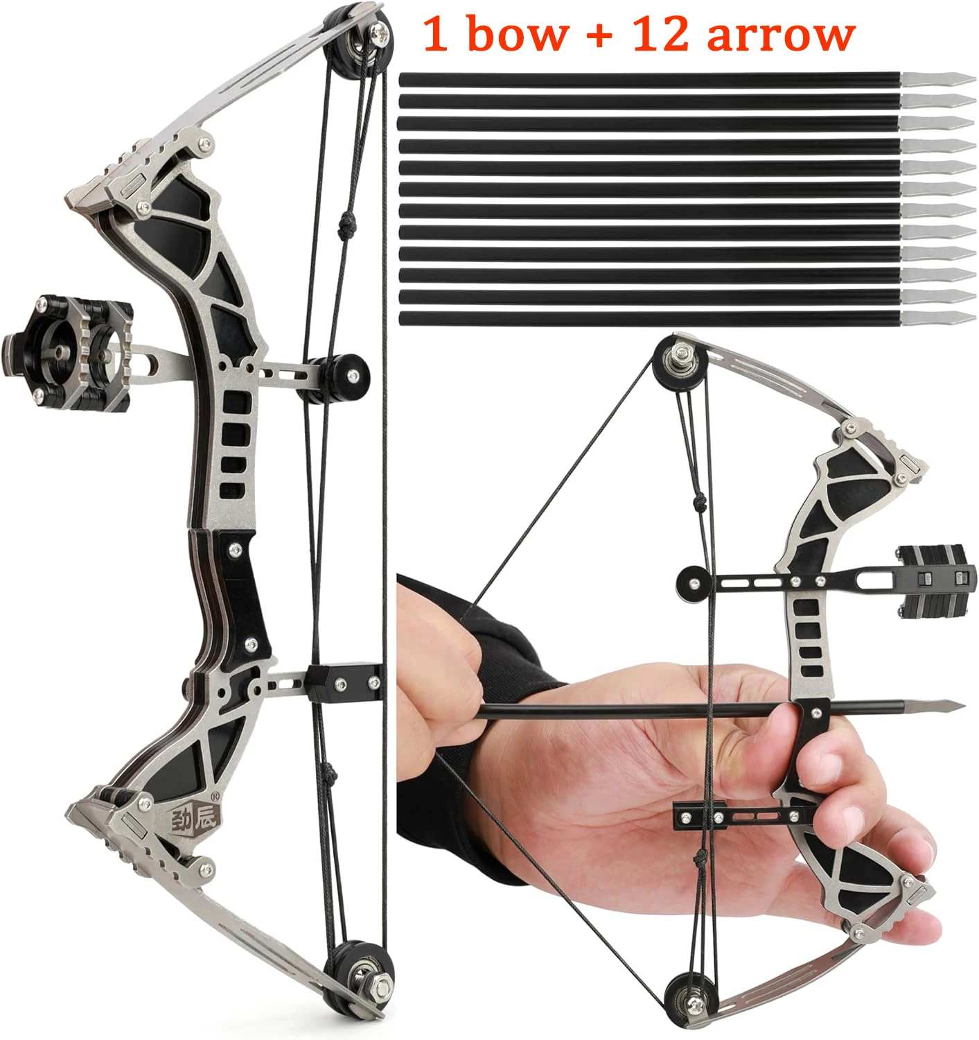 Toparchery 9.5inch Mini Compound Bow Stainless Steel includes 4/12 Arrows and Target Paper Right and Left Handed Bow