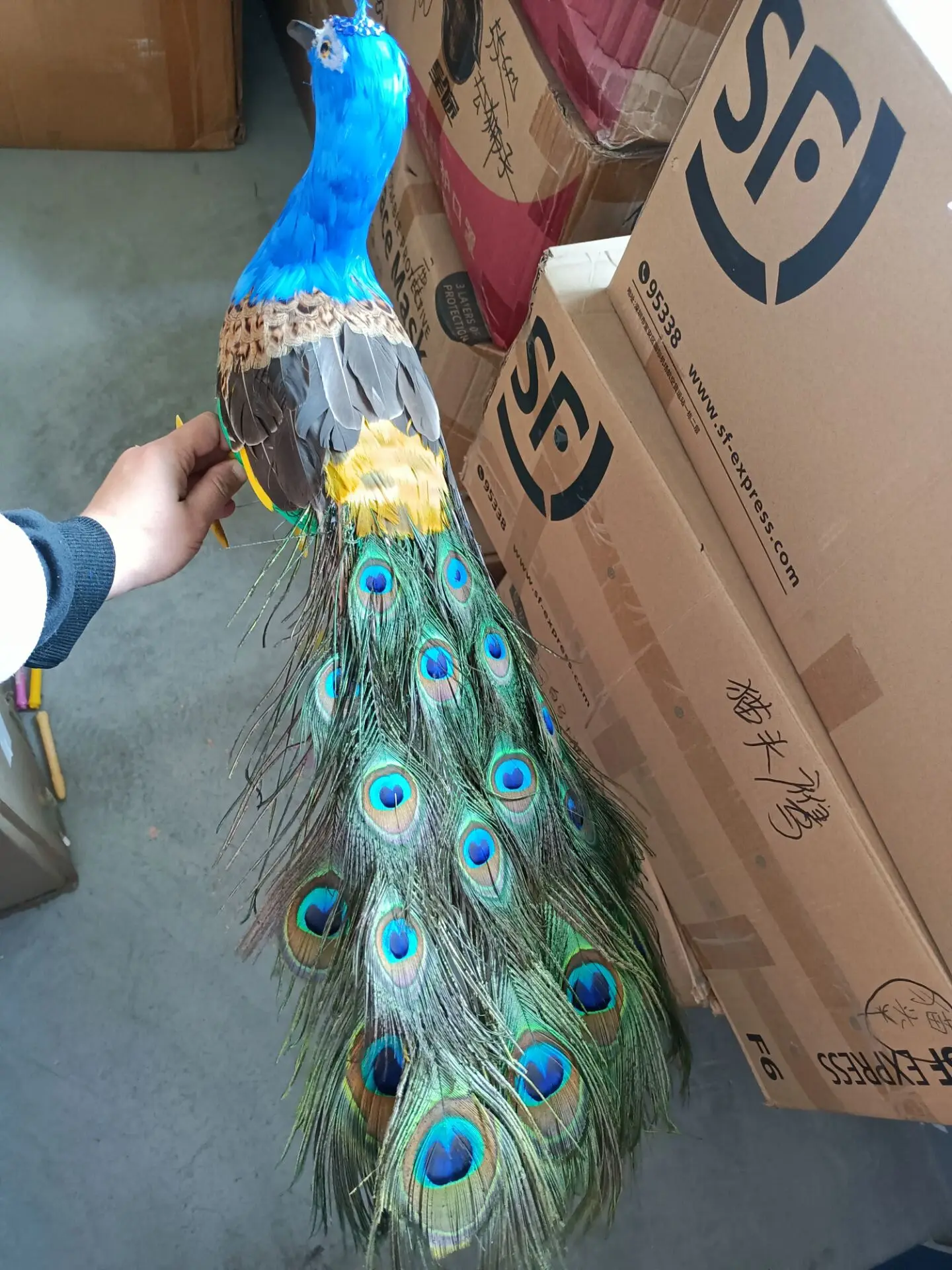 about 60cm Foam Peacock Model Simulation Colorful Feather Home Decorations Lovely Gift Approximate Size for Interior Decoration