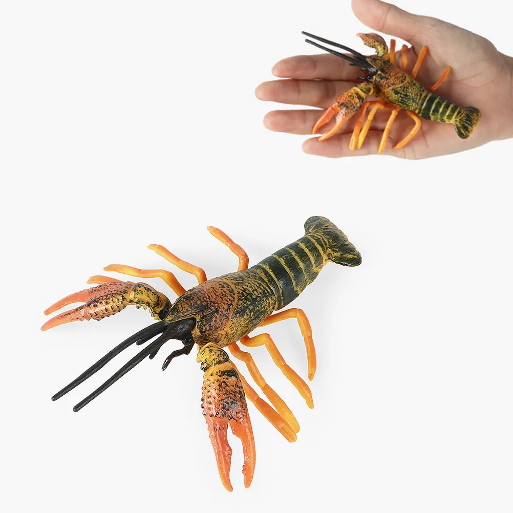 

Яркая имитация омара: развивающая игрушка для детей, обучающая материалам по естествознанию и морской биологии, декоративный элемент для класса и дома