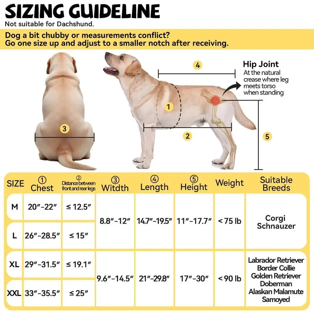 Sedia a rotelle impermeabile regolabile per cani di taglia grande e piccola con luci a LED, guinzaglio e ruote regolabili ad angolo per disabili B