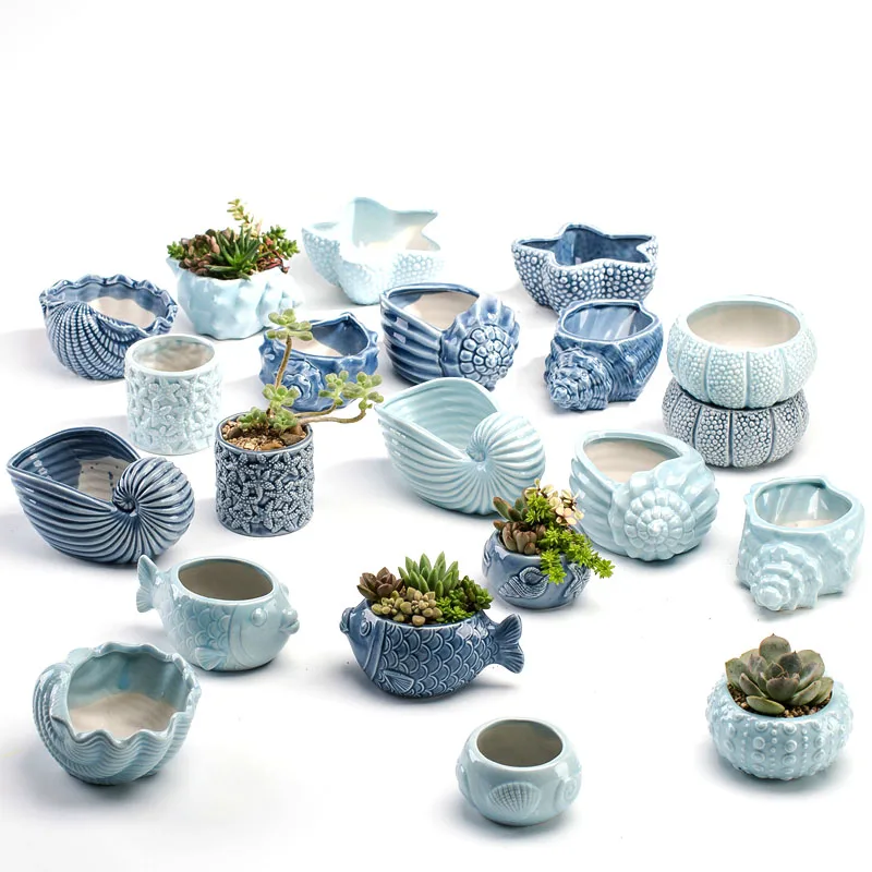 Maceta de Porcelana Azul con Diseño de Pez, Estilo Europeo, para Plantas Suculentas, Mini Bonsái, Cactus, Decoración de Balcón y Jardín