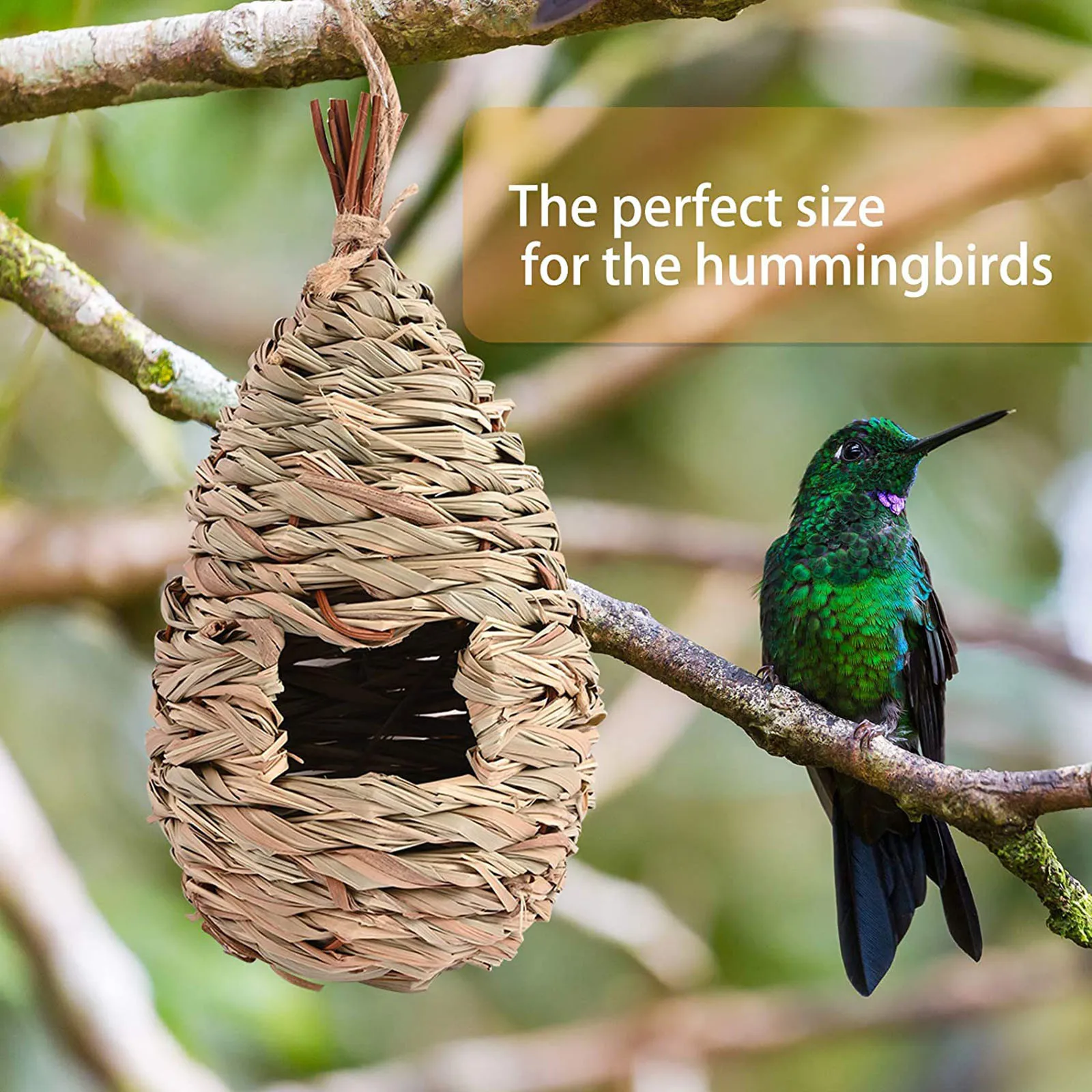 Thumbnail 3 - #74 Compare Birdhouses Before You Buy