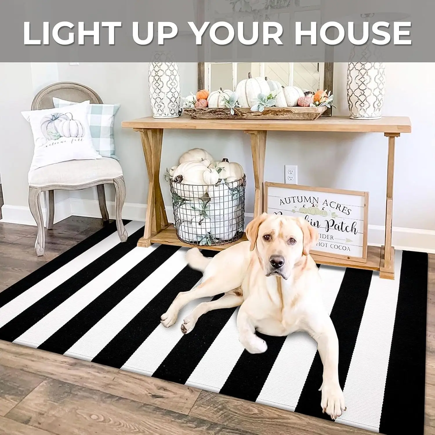 VIKAMA's Simple American Summer Carpet Home Decoration, Outdoor Entrance and Bathroom Anti-slip Pads, Soft and Noise-reducing