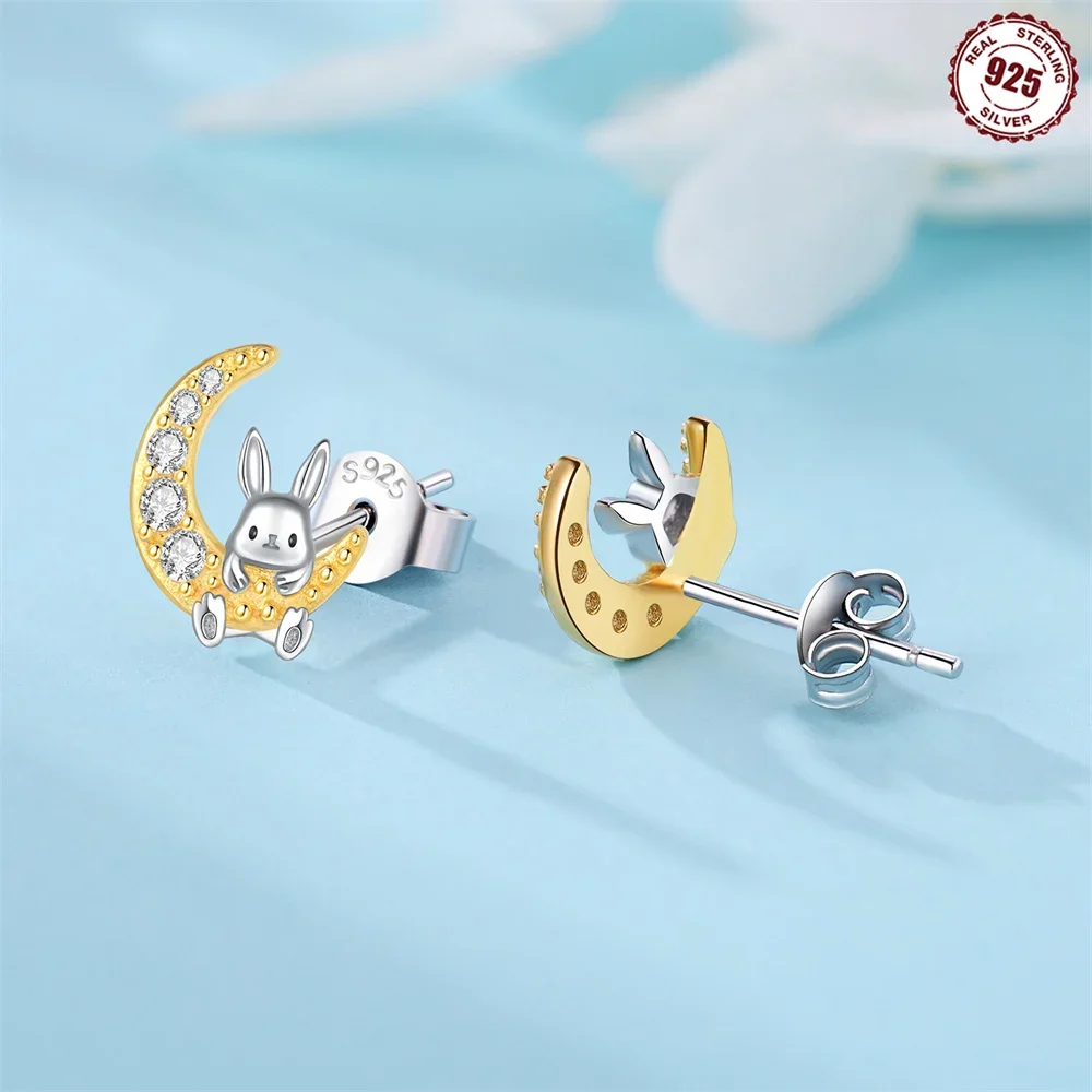 925 Sterling Silver Earrings Panda Owl Rabbit Hug Moon Aretes De Mujer Luxury Exquisite Jewelry Gift Earrings for Women