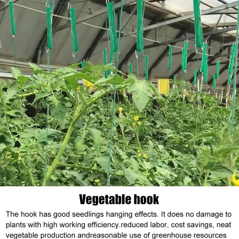 Tomato Support Hooks Strawberry Plant Supports Climbing Hooks Tomato Support J Hook Garden Hooks To Prevent Tomatoes Pinching