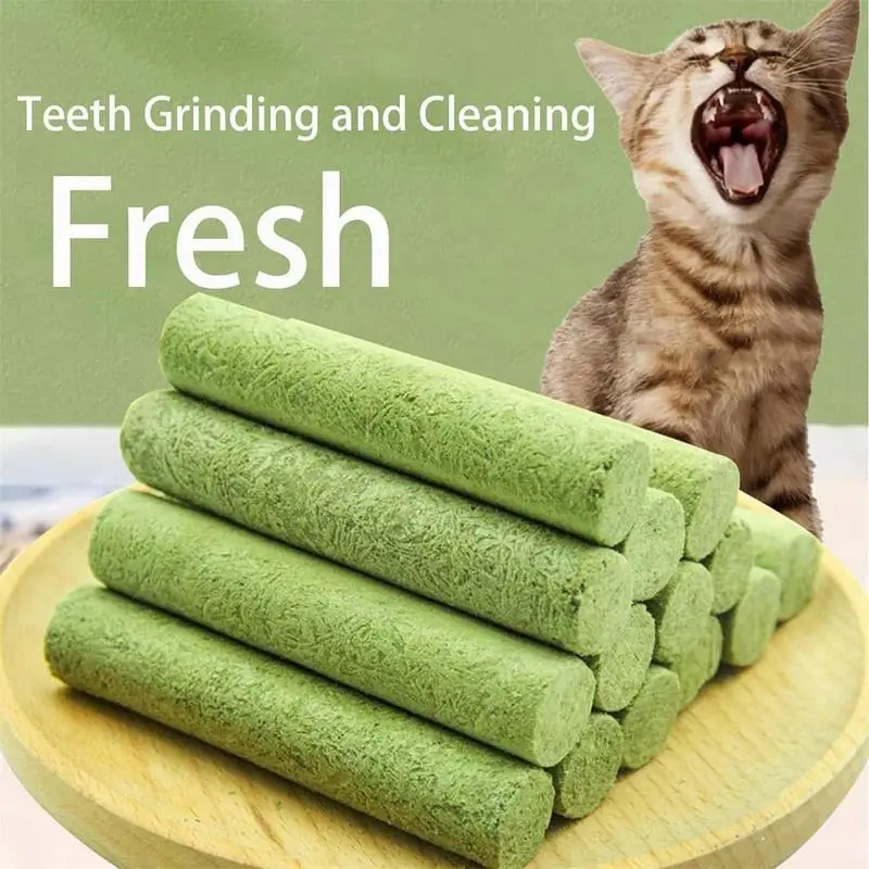 Cat Grass Sticks For Indoor Cats Molar Rod Cat Chew Stick Toy Teeth Care Toys Hairball Removal Baby Cat Teeth Cleaning Sticks