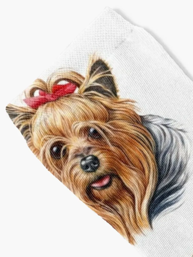 Yorkshire Terrier dog pets dogs cute sweet Socks Sock Christmas Winter Man Sock Sheer Socks Men