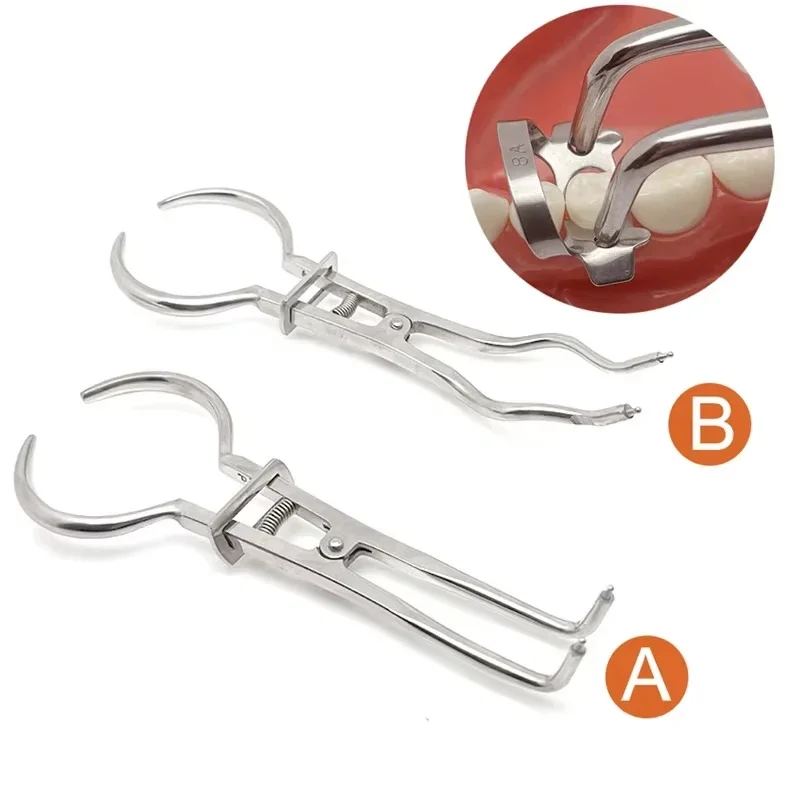 Dental Rubber Dam Clamp Forceps Stainless Steel Plier for Endodontic Root Canal Treatment Orthodontic Clamp view 6
