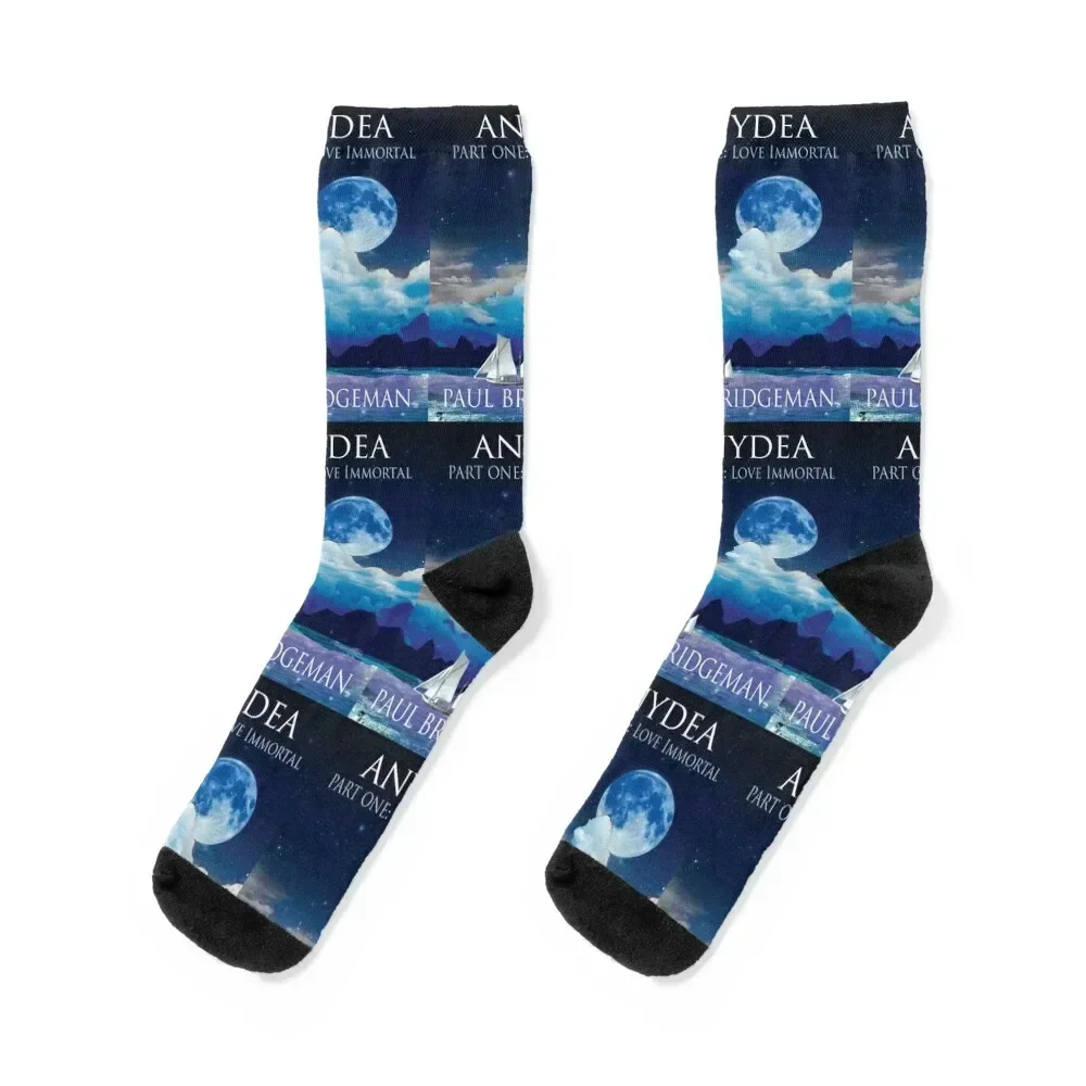 

Paul Bridgeman's Anydea Socks valentine gift ideas Christmas Heating sock sports and leisure Socks Men Women's