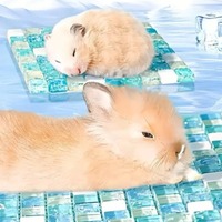 1PC Hamster Cooling Mat Summer Ice Pad Marble Glass Heat Dissipation Board for Small Pets Chinchilla Hedgehog Cage Supplies