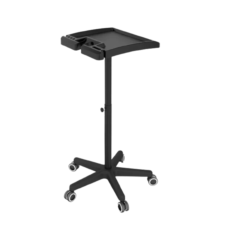 

Portable Barber Furniture Small Cart Aesthetic Trolleys Wheels Organizer Aesthetics Trolley Carrello Parrucchiere Beauty Dental